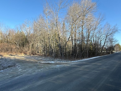 Lot 010 Hope Rd, Newport, ME 04250 - photo 4