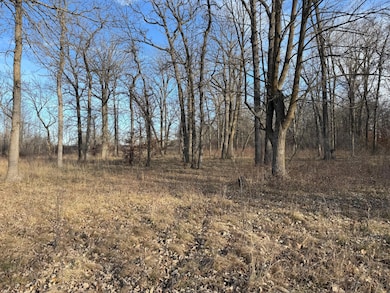 TBD 294th, Meadow Township, MN 56477 - photo 6