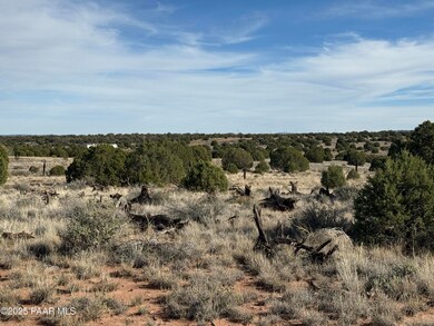 Lot 4 Ranch of the White Mountains, Concho, AZ 85924 - photo 4
