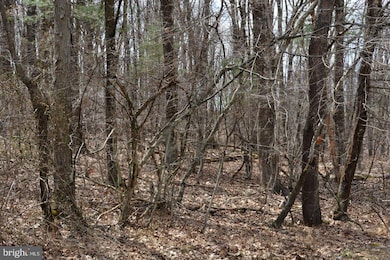0 Akers Rd unit PABD2002772, Clearville, PA 15535 - photo 6