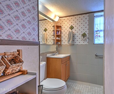 610 Hiwassee Hill Dr, Johnson City, TN 37601 - photo 7