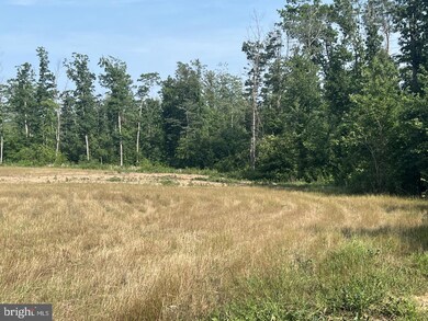 13 Joshuas Way, Unionville, VA 22567 - photo 7