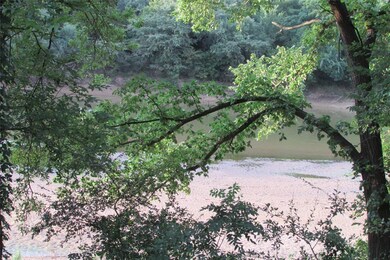 Riverfront Beach and lush greenery - float the laz