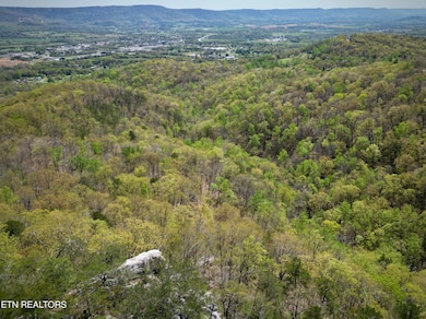 DJI_0768