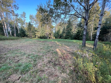 Home Site with Raised Leach Field Bed