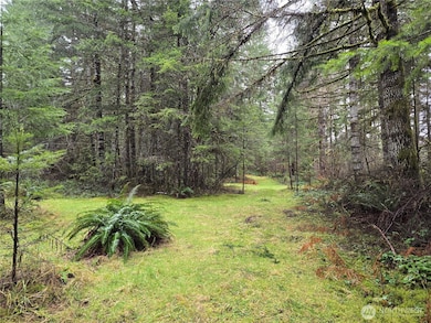 0 Lot 1&2 W Elk Hill Rd, Elma, WA 98541 - photo 3