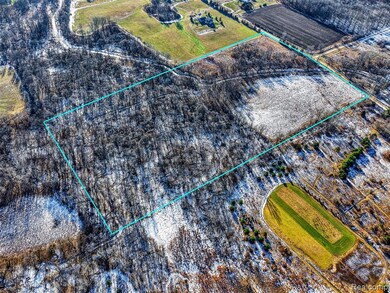 10525 Godfrey Rd, Bancroft, MI 48414 - photo 5