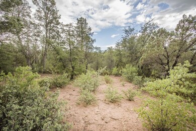 1901 N Conifer Cir, Payson, AZ 85541 - photo 3