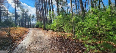 3 LOTS Ridgecrest Dr unit 76,78,80, Blue Ridge, GA 30513 - photo 7