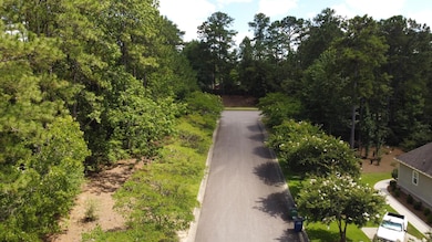 102 White Birch Ct, Aiken, SC 29803 - photo 2