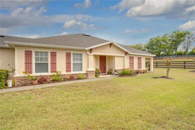 30430 Lipizzan Terrace, Mount Dora, FL 32757 - photo 4