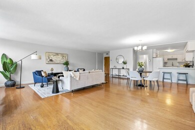 Park Street Condominiums unit 23, Brookline, MA 02446 - photo 7