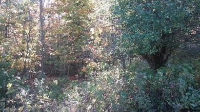 20171018_153756