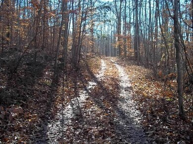 360 Pumpkin Hollow Rd, Somerset, KY 42501 - photo 7