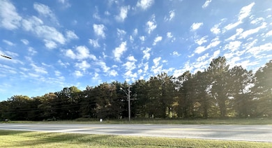 0 E Elm St, Corning, AR 72422 - photo 3