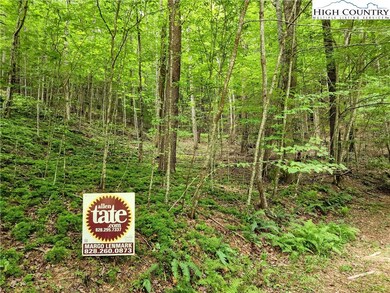 Tbd Brightwood Trail, Deep Gap, NC 28618 - photo 5