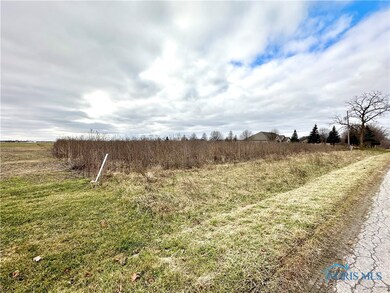 20840 W Camper Rd, Genoa, OH 43430 - photo 2