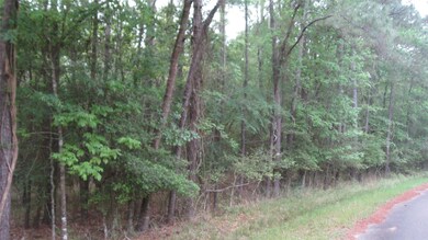 00 Cimmaron Rd, Stagecoach, TX 77355 - photo 6