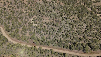Dans Riverside Ranch Property 04