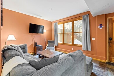 33 Broken Lance Dr unit 100S, Breckenridge, CO 80424 - photo 4