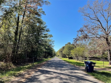 25399 Brushy Creek Dr, Hockley, TX 77447 - photo 5