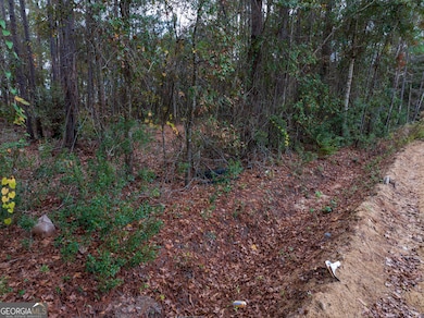 120 Womack Rd unit 1.4 ACRES, Jesup, GA 31545 - photo 7