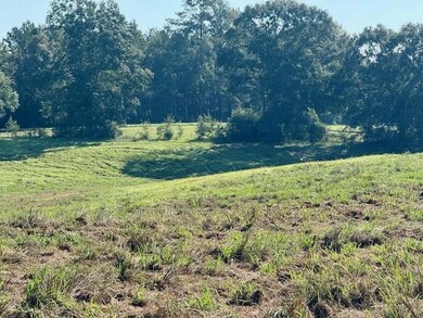 TBD Bennie Morris Rd, Mount Hermon, LA 70450 - photo 6