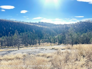 297 Lake Shore Dr, Alto, NM 88312 - photo 3