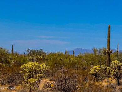 IMG_0866