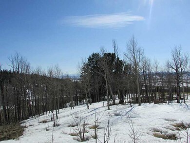 Land/Lot.
