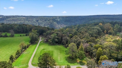 572 McDermont Rd, Union Grove, AL 35175 - photo 5