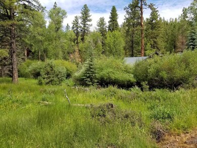 Meadow Area Next to Creek