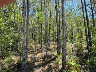 0 Lakeshore Estates Dr unit 528222, Lincolnton, GA 30817 - photo 5