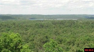 Pt of Lot 10 Mc 8072, Flippin, AR 72634 - photo 5