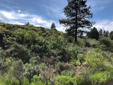 Rolling Terrain With Natural Landscaping
