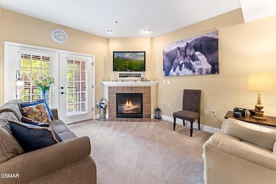 527 River Place Way unit 516, Sevierville, TN 37862 - photo 6