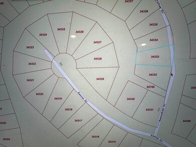 171 Sassafras unit Lot 171, Brookeland, TX 75931 - photo 6