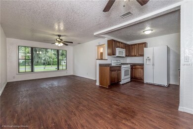 703 N Saint Clair Abrams Ave, Tavares, FL 32778 - photo 3