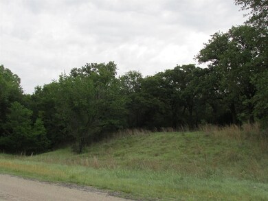 7800 Old Agnes Rd, Poolville, TX 76487 - photo 5