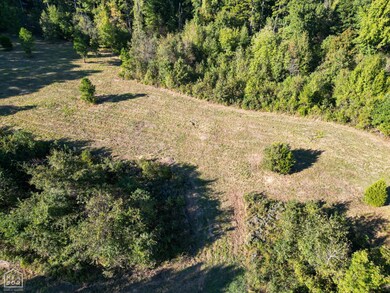 7209 U S Highway 412, Paragould, AR 72450 - photo 6