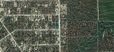 TBD Red Oak Rd unit Lot 193, Perry, FL 32348 - photo 3
