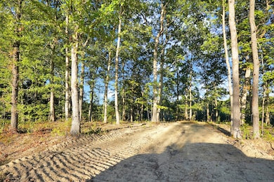 1 Highway 232, Stewart, TN 37175 - photo 3