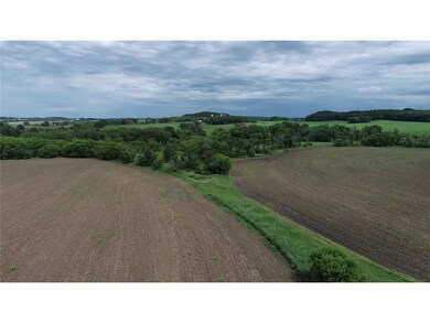 0 N Martin Dr unit 6646078, Clear Creek, WI 54770 - photo 6