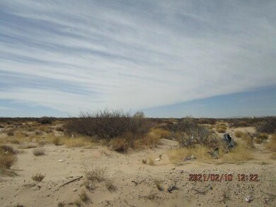 1 Boicount, Horizon City, TX 79928 - photo 4