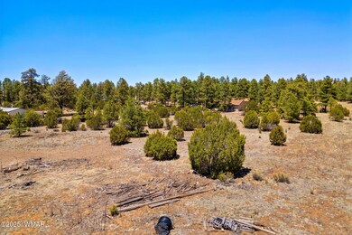 2821KeltonCir-Heber-AZ-15