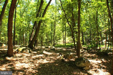 127 Ac Trough Rd, Moorefield, WV 26836 - photo 6