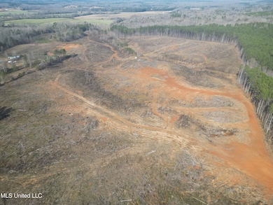 0 Cr-209 Rd unit 4133274, Walnut, MS 38683 - photo 2