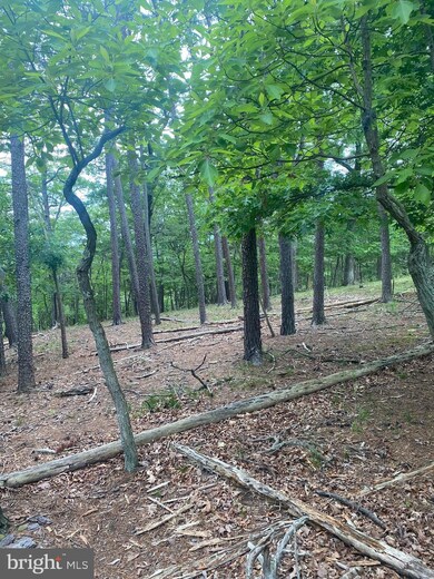 0 Big Sky Ln unit WVMO118606, Berkeley Springs, WV 25411 - photo 5