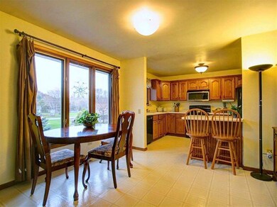 2517 Martin St, Cross Plains, WI 53528 - photo 4