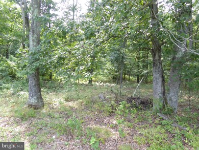 1112 Off I L Pugh Rd, Bloomery, WV 26817 - photo 6